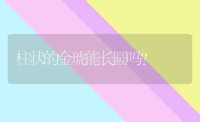 柱状的金琥能长圆吗？ | 多肉养殖