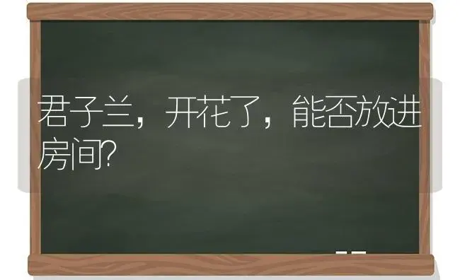 君子兰，开花了，能否放进房间？ | 绿植常识