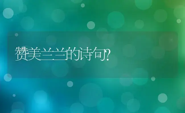 紫罗兰花怎么养家庭养法？ | 绿植常识