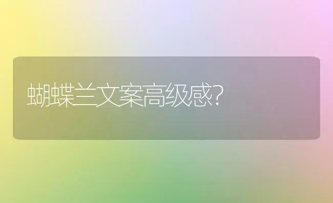 蝴蝶兰文案高级感？ | 绿植常识