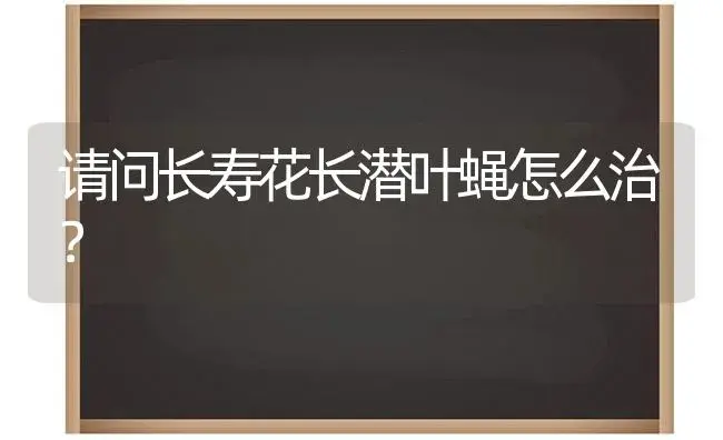 请问长寿花长潜叶蝇怎么治？ | 多肉养殖