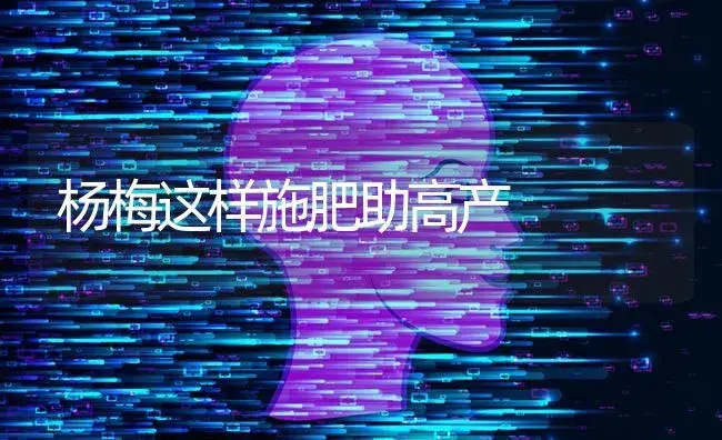 杨梅这样施肥助高产 | 果木种植