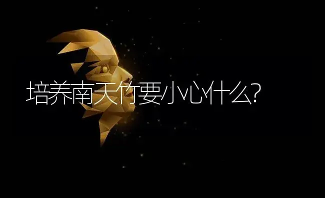 培养南天竹要小心什么? | 特种种植