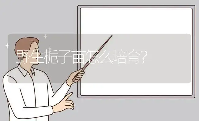 野生栀子苗怎么培育？ | 绿植常识