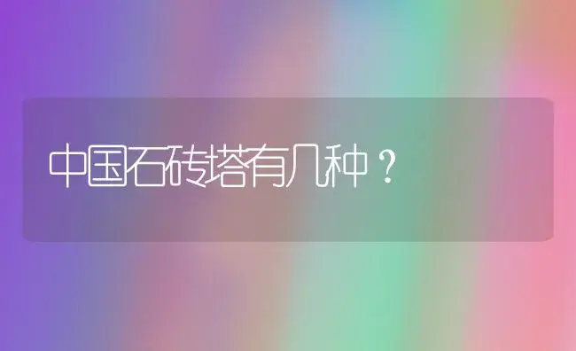 中国石砖塔有几种？ | 多肉养殖