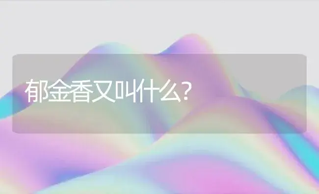 公园野花的句子？ | 绿植常识