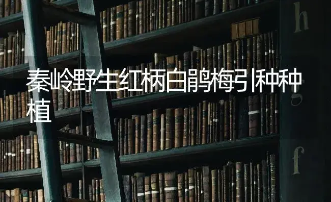 秦岭野生红柄白鹃梅引种种植 | 特种种植