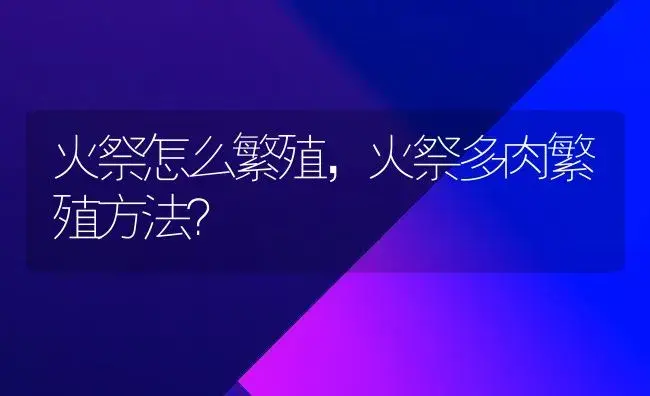 火祭怎么繁殖,火祭多肉繁殖方法？ | 多肉养殖