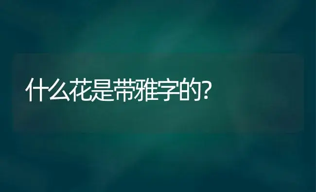 什么花是带雅字的？ | 绿植常识