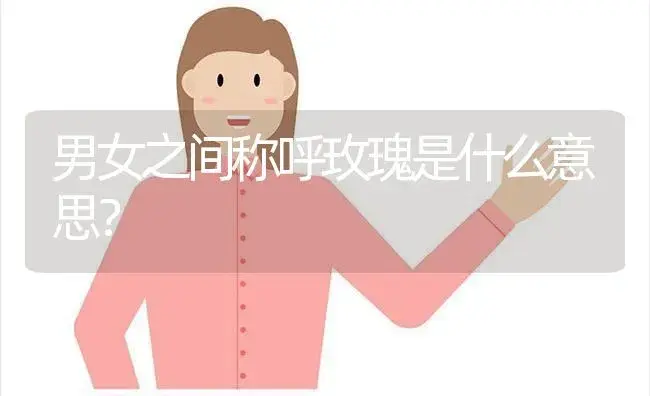 男女之间称呼玫瑰是什么意思？ | 绿植常识