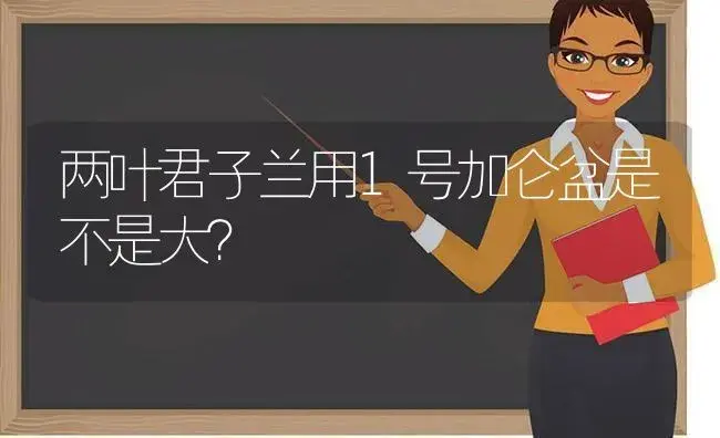 两叶君子兰用1号加仑盆是不是大？ | 绿植常识