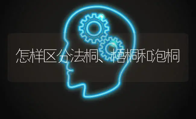 怎样区分法桐、梧桐和泡桐 | 特种种植