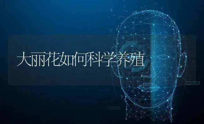 大丽花如何科学养殖 | 特种种植