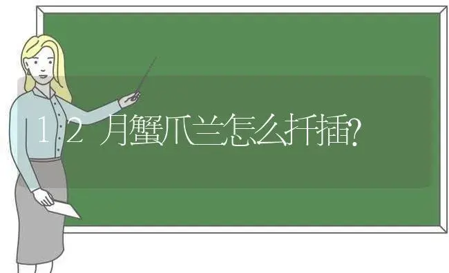 12月蟹爪兰怎么扦插？ | 多肉养殖