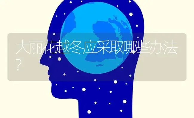 大丽花越冬应采取哪些办法? | 特种种植