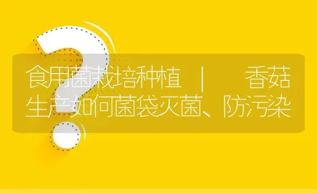 香菇生产如何菌袋灭菌、防污染 | 菌菇种植