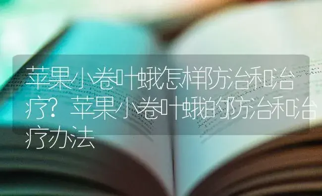 苹果小卷叶蛾怎样防治和治疗?苹果小卷叶蛾的防治和治疗办法 | 果木种植