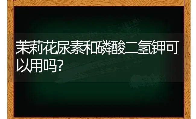 茉莉花尿素和磷酸二氢钾可以用吗？ | 绿植常识