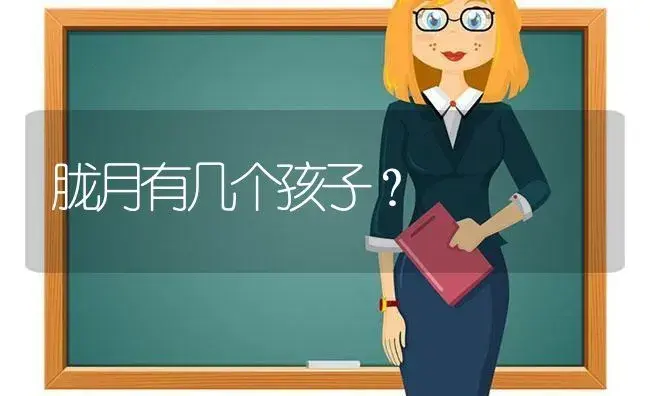 胧月有几个孩子？ | 多肉养殖