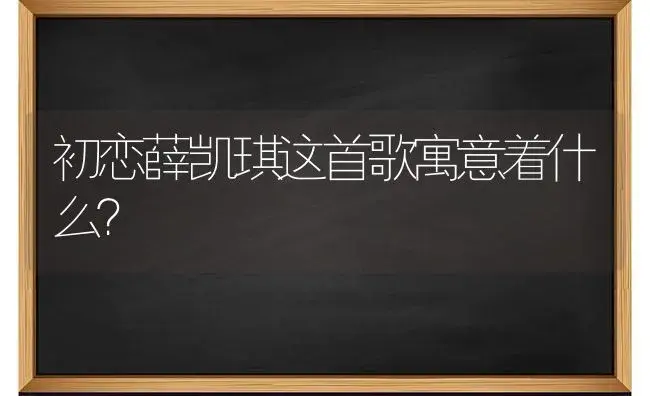 初恋薛凯琪这首歌寓意着什么？ | 多肉养殖