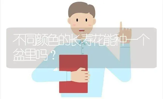 不同颜色的长寿花能种一个盆里吗？ | 多肉养殖