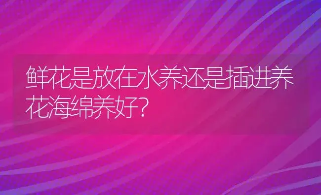 鲜花是放在水养还是插进养花海绵养好？ | 绿植常识