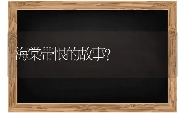 海棠带恨的故事？ | 绿植常识