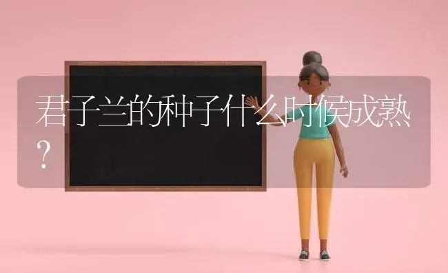 君子兰的种子什么时候成熟？ | 绿植常识