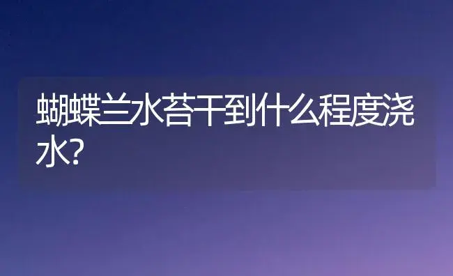 蝴蝶兰水苔干到什么程度浇水？ | 绿植常识