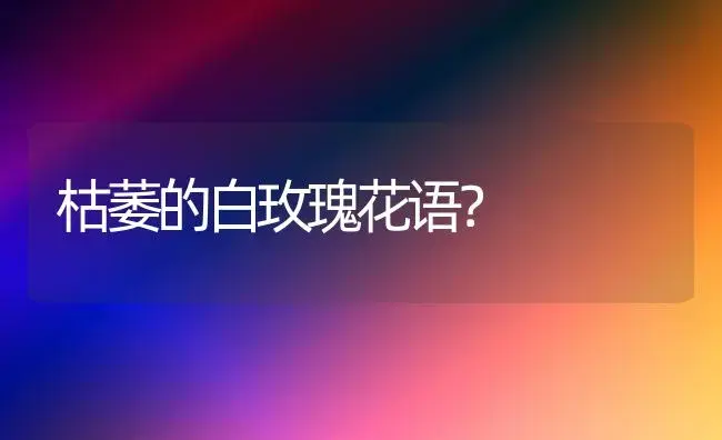 黄玫瑰朵数的花语是什么？ | 绿植常识