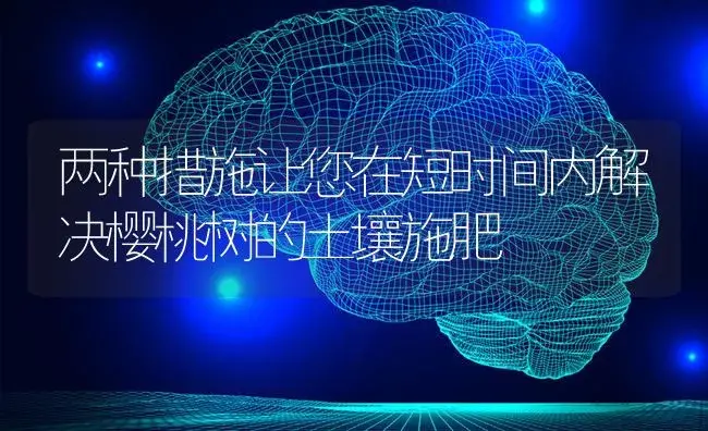 两种措施让您在短时间内解决樱桃树的土壤施肥 | 果木种植