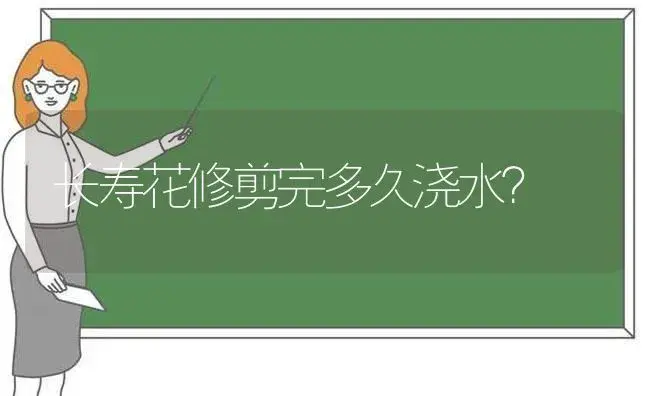 长寿花修剪完多久浇水？ | 多肉养殖