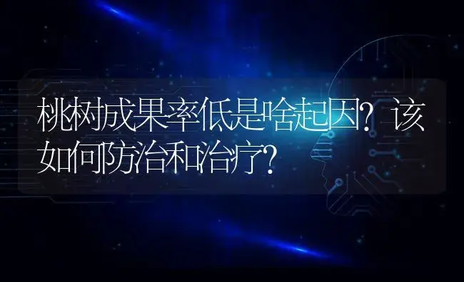 桃树成果率低是啥起因？该如何防治和治疗？ | 果木种植