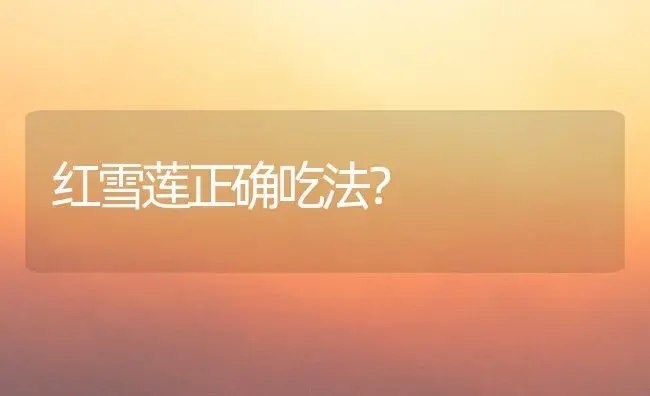 红雪莲正确吃法？ | 多肉养殖