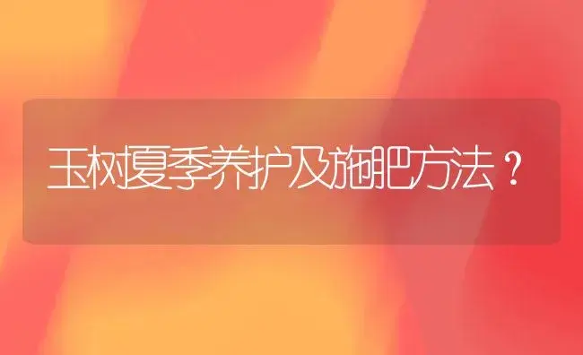 玉树夏季养护及施肥方法？ | 多肉养殖