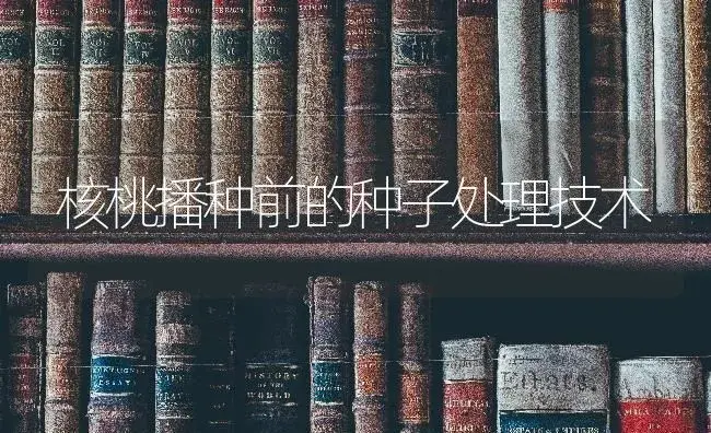 核桃播种前的种子处理技术 | 特种种植