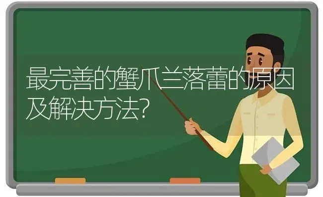 最完善的蟹爪兰落蕾的原因及解决方法？ | 多肉养殖
