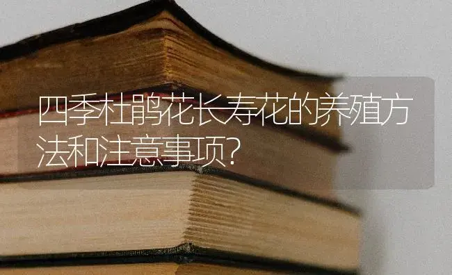 四季杜鹃花长寿花的养殖方法和注意事项？ | 多肉养殖