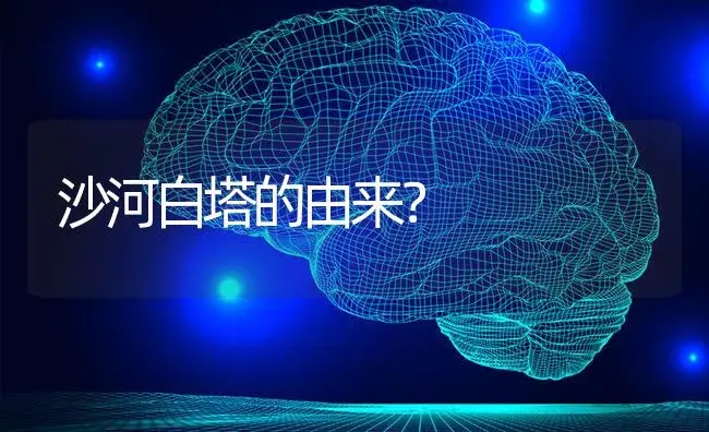 沙河白塔的由来？ | 多肉养殖