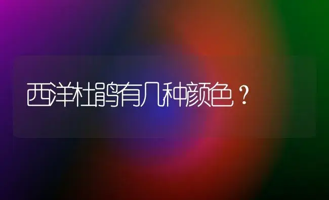 西洋杜鹃有几种颜色？ | 绿植常识