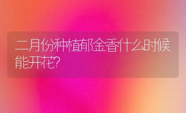 什么花的花语是暗恋已久的意思？ | 绿植常识