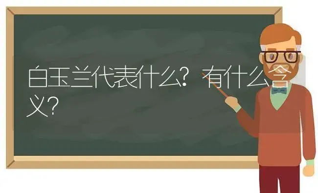 白玉兰代表什么?有什么含义？ | 绿植常识