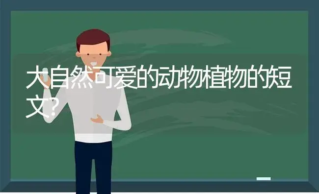 大自然可爱的动物植物的短文？ | 多肉养殖