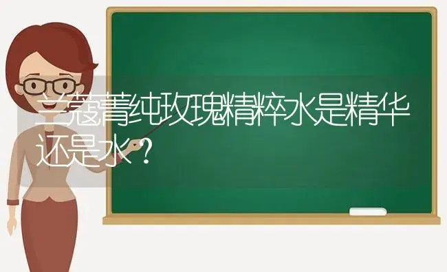 兰蔻菁纯玫瑰精粹水是精华还是水？ | 绿植常识