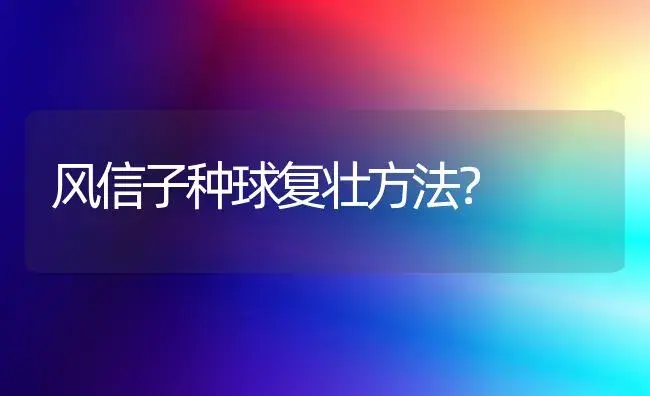 风信子种球复壮方法？ | 绿植常识