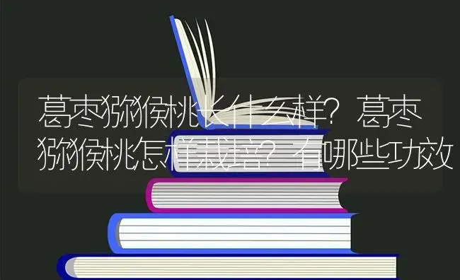 葛枣猕猴桃长什么样？葛枣猕猴桃怎样栽培？有哪些功效 | 果木种植