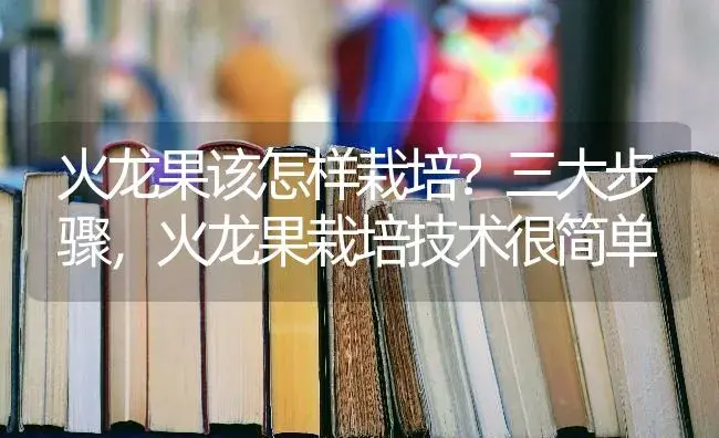 火龙果该怎样栽培？三大步骤，火龙果栽培技术很简单 | 果木种植