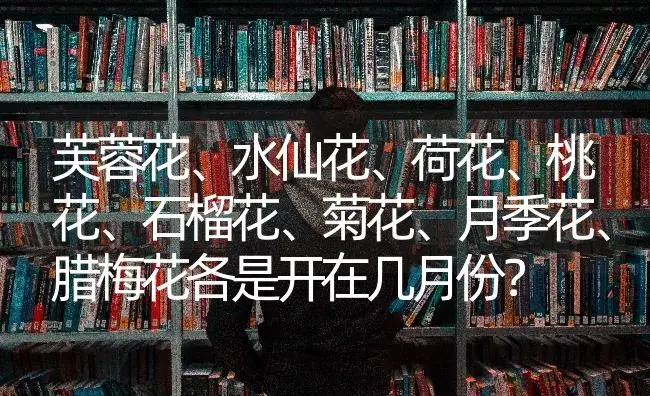 芙蓉花、水仙花、荷花、桃花、石榴花、菊花、月季花、腊梅花各是开在几月份？ | 绿植常识