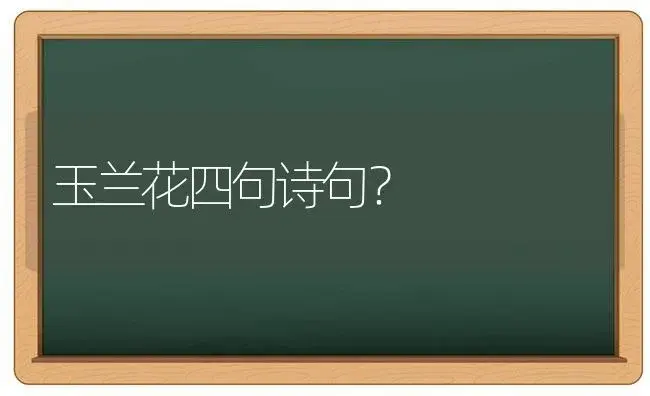 玉兰花四句诗句？ | 绿植常识