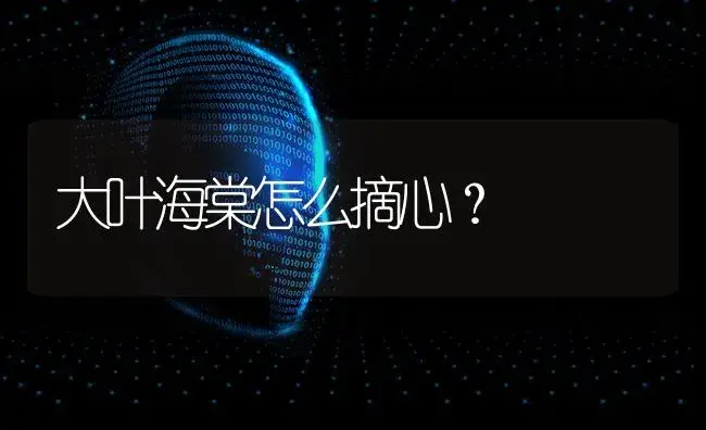 大叶海棠怎么摘心？ | 绿植常识